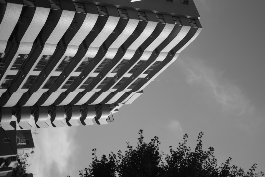 Photograph, July 2025