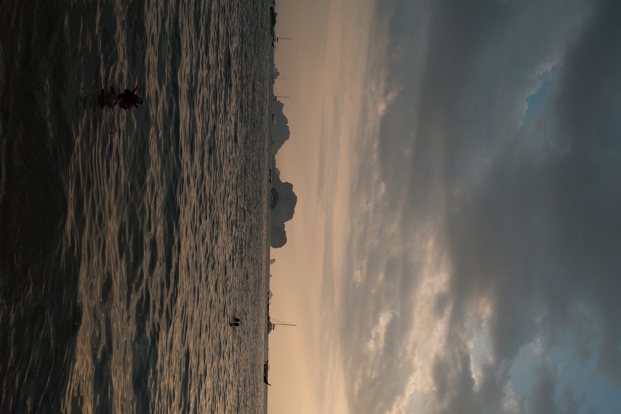 Photograph, January 2026