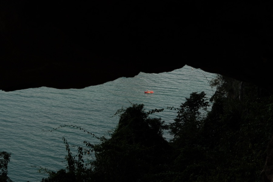 Photograph, January 2026