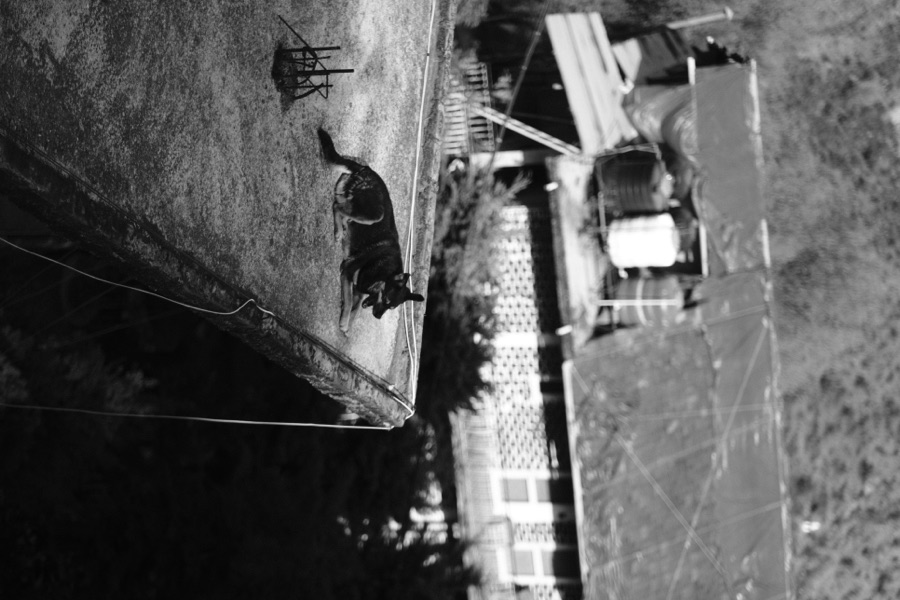 Photograph, March 2026