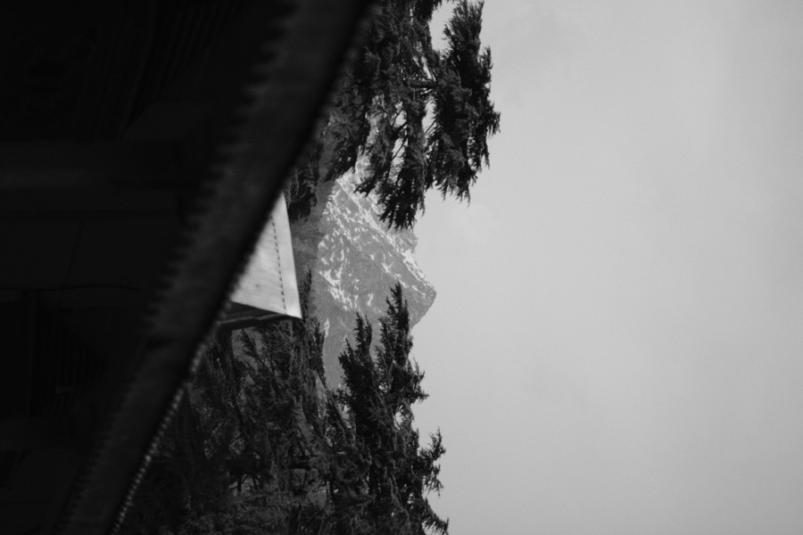 Photograph, March 2026