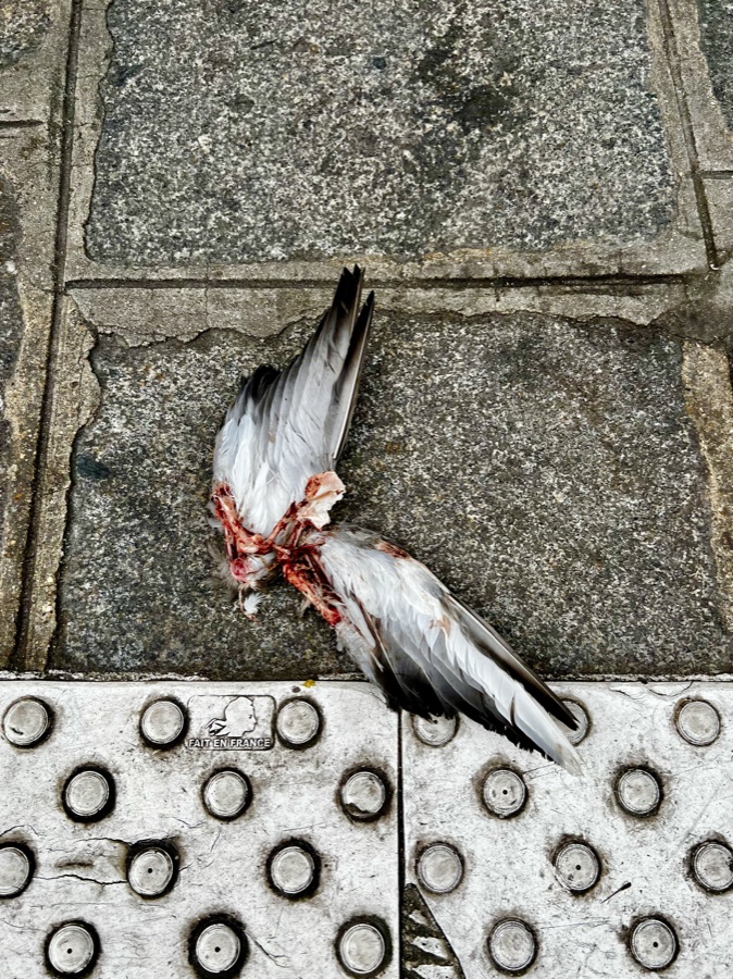 Photograph, April 2023